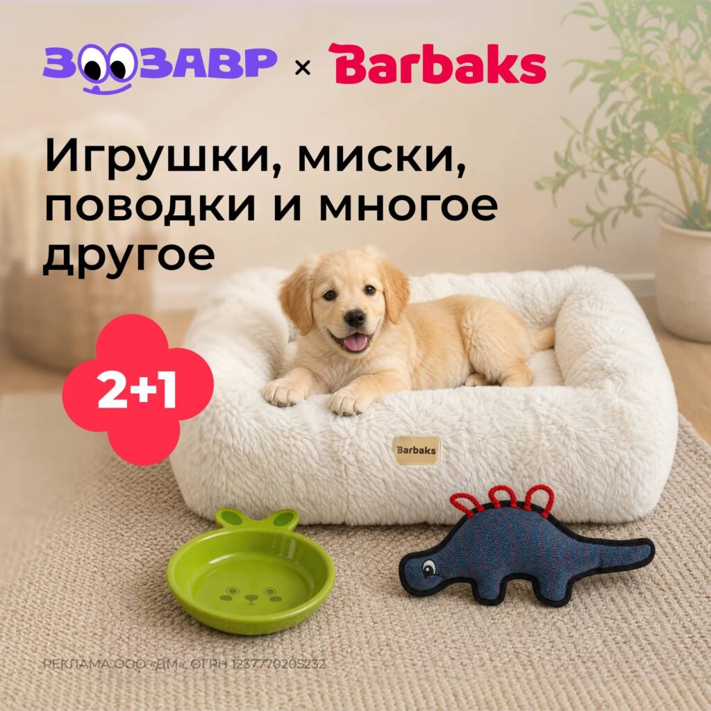 ТРЦ Евролэнд Иваново